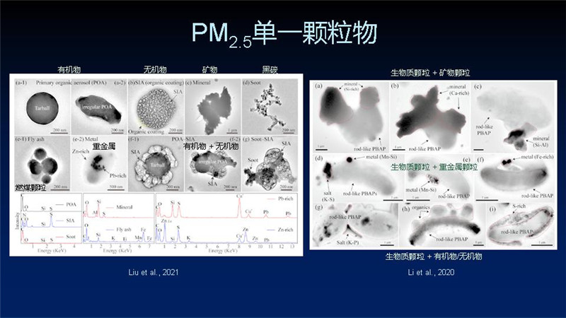 幻灯片8_副本.jpg 幻灯片8_副本.jpg